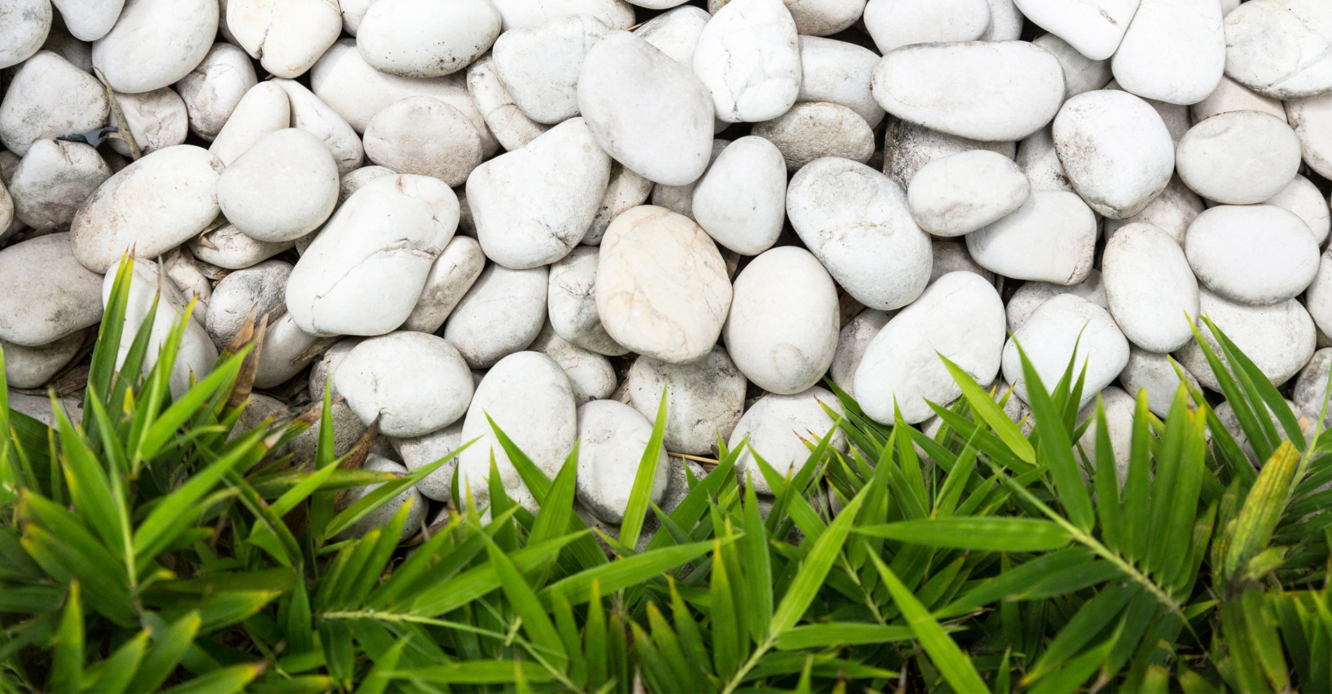 Benefits Of A Mini Zen Garden