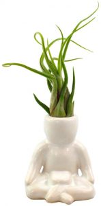 diy mini zen garden accessories