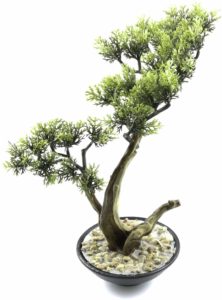 mini zen garden bonsai tree fake