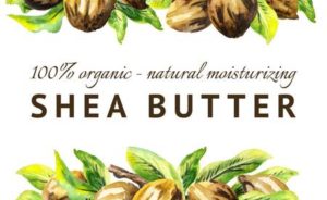 shea butter for hair